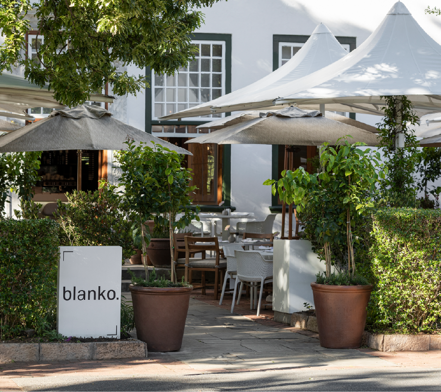 Blanko Reinvented: A Fresh Take On Simplicity