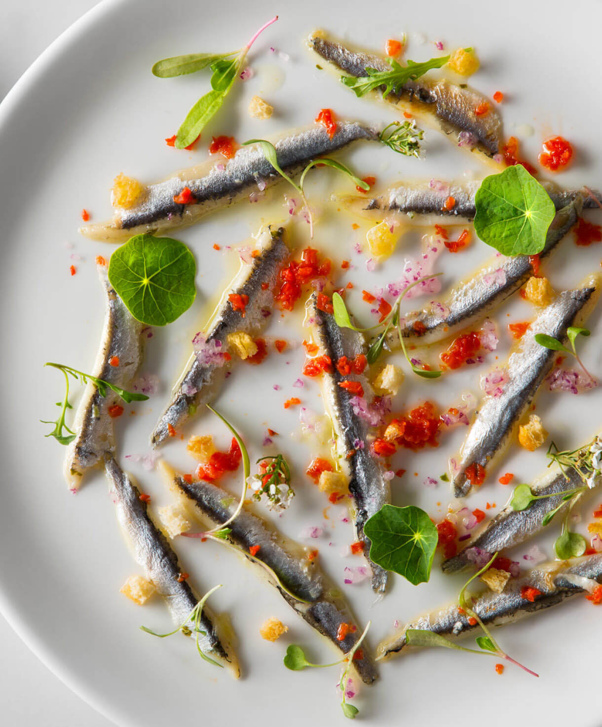 fine-dining-experience