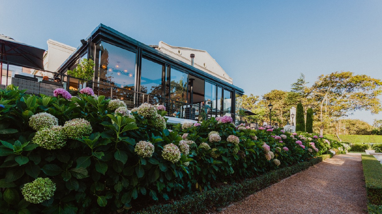 Alphen_Eat. Incognito. 1